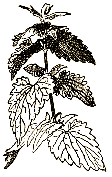 Маленькие дикари (др. перевод) i_062.png