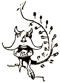 Маленькие дикари (др. перевод) i_072.png