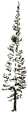 Маленькие дикари (др. перевод) i_074.png
