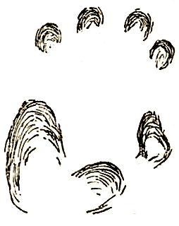 Маленькие дикари (др. перевод) i_093.png