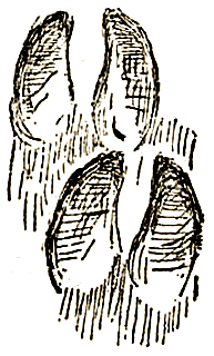 Маленькие дикари (др. перевод) i_095.png