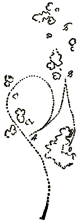 Маленькие дикари (др. перевод) i_101.png