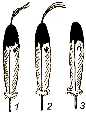 Маленькие дикари (др. перевод) i_103.png
