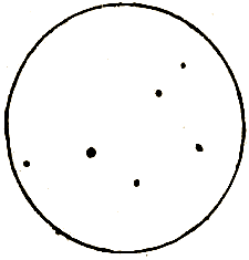 Маленькие дикари (др. перевод) i_111.png