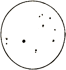 Маленькие дикари (др. перевод) i_112.png