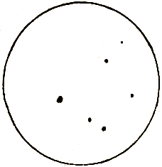 Маленькие дикари (др. перевод) i_113.png