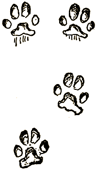 Маленькие дикари (др. перевод) i_124.png