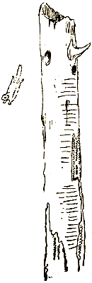 Маленькие дикари (др. перевод) i_127.png