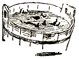 Маленькие дикари (др. перевод) i_129.png