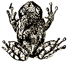 Маленькие дикари (др. перевод) i_131.png