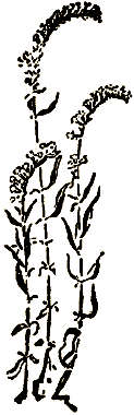 Маленькие дикари (др. перевод) i_144.png