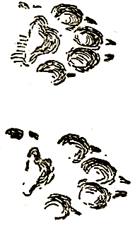 Маленькие дикари (др. перевод) i_149.png
