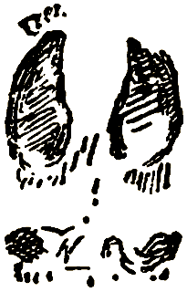 Маленькие дикари (др. перевод) i_153.png