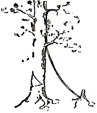Маленькие дикари (др. перевод) i_163.png