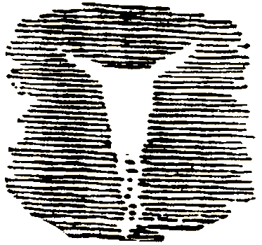 Маленькие дикари (др. перевод) i_172.png