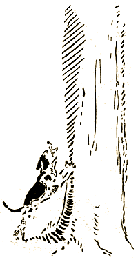 Маленькие дикари (др. перевод) i_191.png