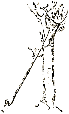 Маленькие дикари (др. перевод) i_192.png