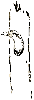 Маленькие дикари (др. перевод) i_207.png