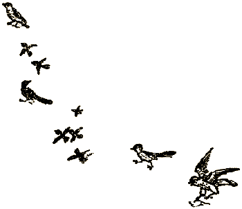 Маленькие дикари (др. перевод) i_208.png