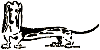 Маленькие дикари (др. перевод) i_224.png