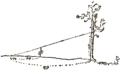 Маленькие дикари (др. перевод) i_225.png