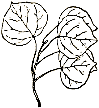 Маленькие дикари (др. перевод) i_229.png