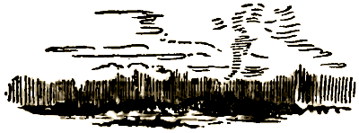 Маленькие дикари (др. перевод) i_230.png