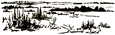 Маленькие дикари (др. перевод) i_232.png