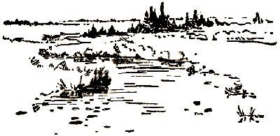 Маленькие дикари (др. перевод) i_233.png