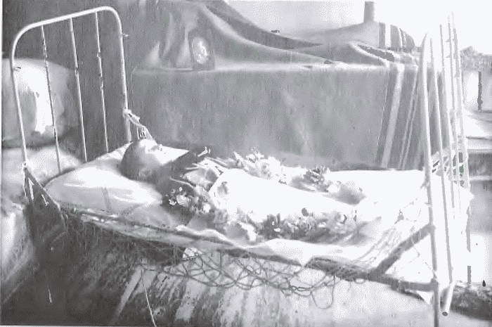 Товарищ Павлик: Взлет и падение советского мальчика-героя i_034.jpg