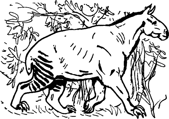 Диковинные звери i_032.png