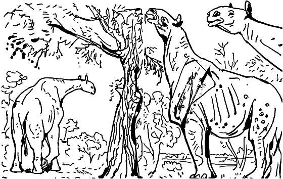 Диковинные звери i_012.png