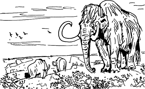 Диковинные звери i_018.png