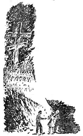 Тайна стонущей пещеры (с илл.) i_029.png