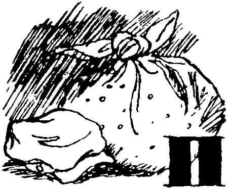 Приключения во дворе i_037.png
