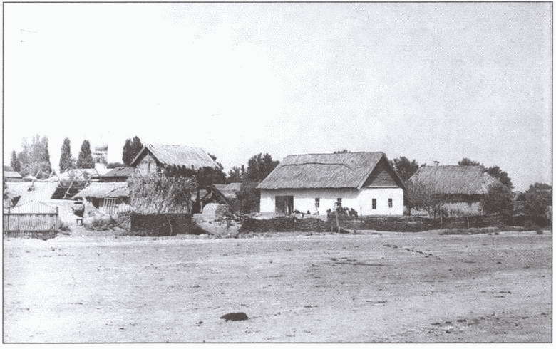Друзья и враги за Кавказским хребтом i_019.jpg