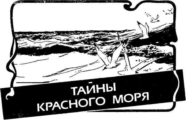 Тайны красного моря. Морские приключения i_003.jpg