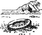 Приключения капитана Врунгеля (илл. К.Ротова) i_041.jpg