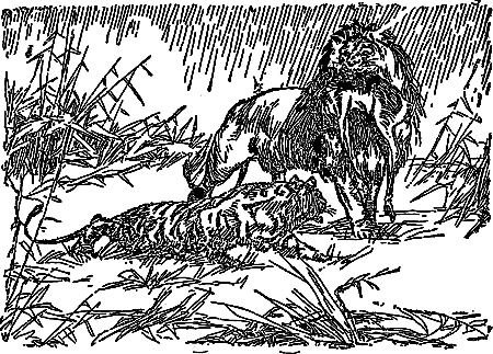 Борьба за огонь (с илл.) i_010.png