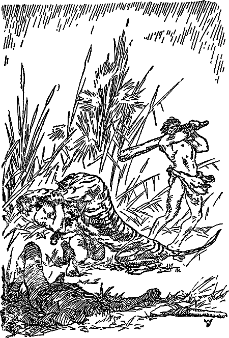 Борьба за огонь (с илл.) i_011.png