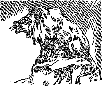 Борьба за огонь (с илл.) i_012.png