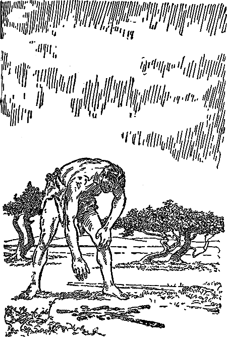 Борьба за огонь (с илл.) i_016.png
