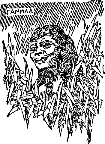 Борьба за огонь (с илл.) i_017.png