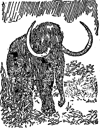 Борьба за огонь (с илл.) i_023.png