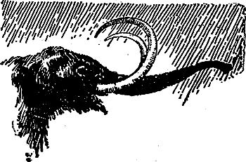 Борьба за огонь (с илл.) i_025.png