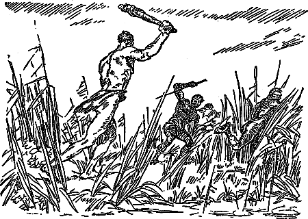 Борьба за огонь (с илл.) i_041.png