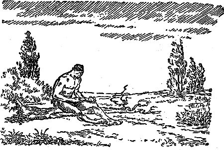 Борьба за огонь (с илл.) i_042.png