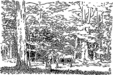 Борьба за огонь (с илл.) i_044.png