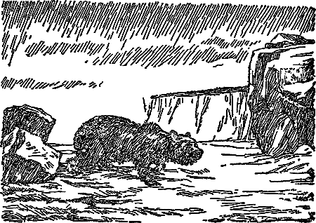 Борьба за огонь (с илл.) i_049.png
