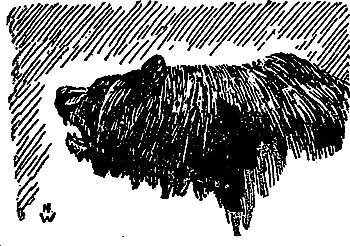 Борьба за огонь (с илл.) i_050.png